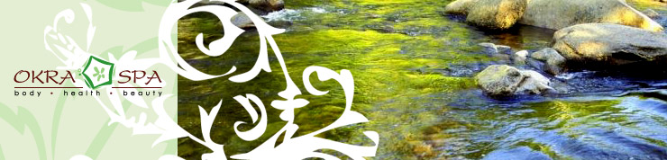 okra_header02.jpg