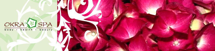 okra_header05.jpg