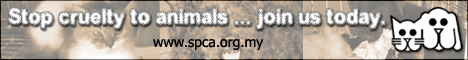 spca02.gif