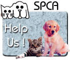 spca06.gif